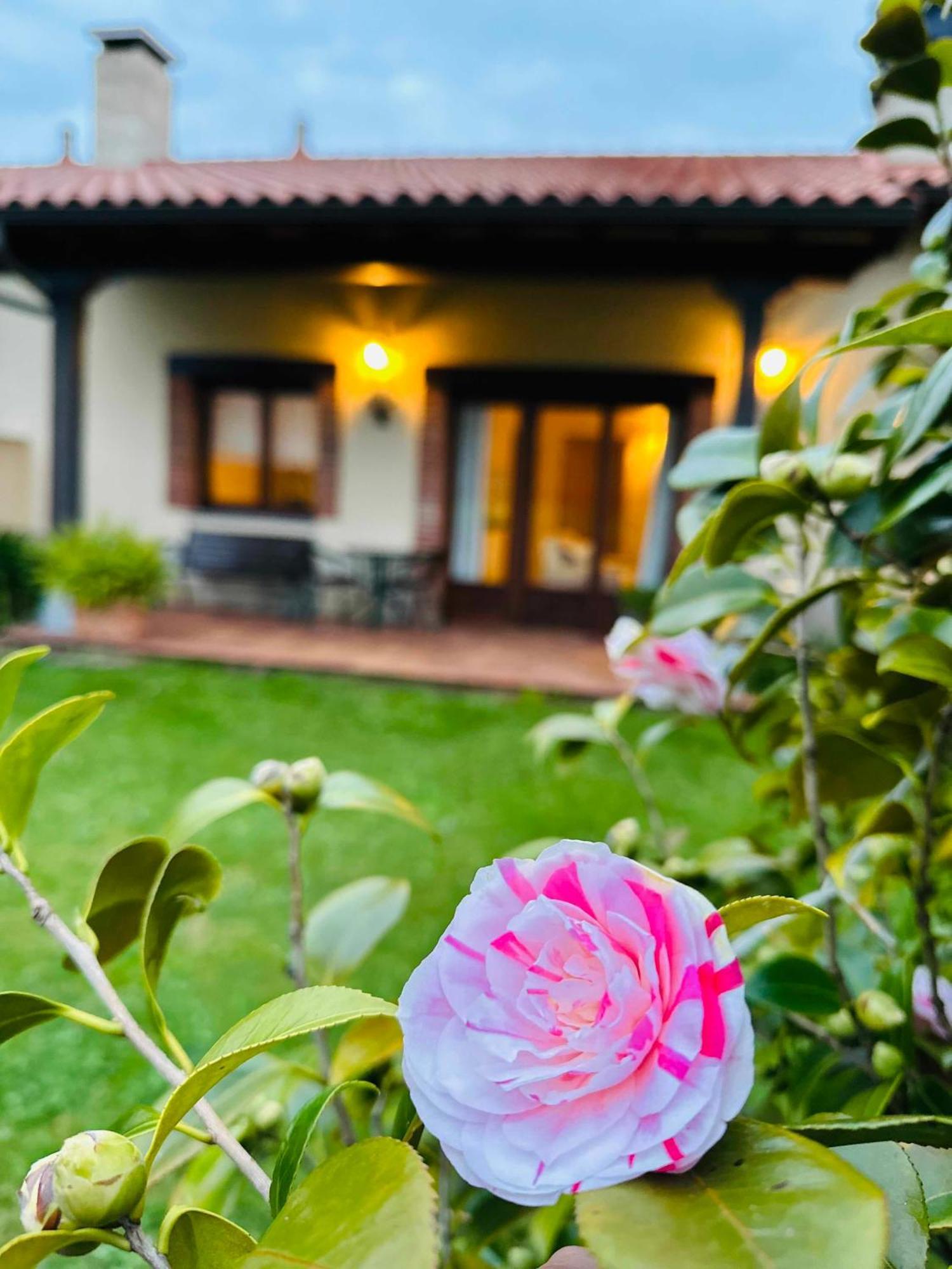 Apartamentos Rurales La Carbayala Ovinana  Luaran gambar